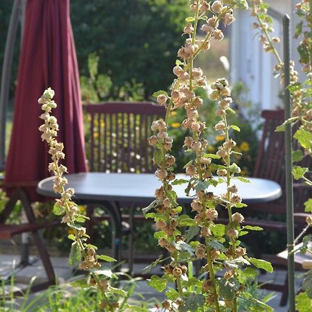 Feriendomizil-Usetom Villa Uckeritz Bagian luar foto